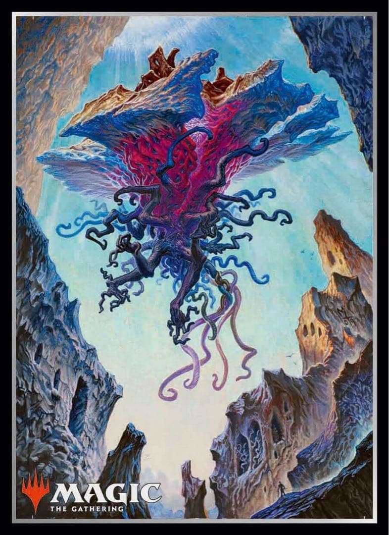 エムラクール　スリーブ　80枚　1セット