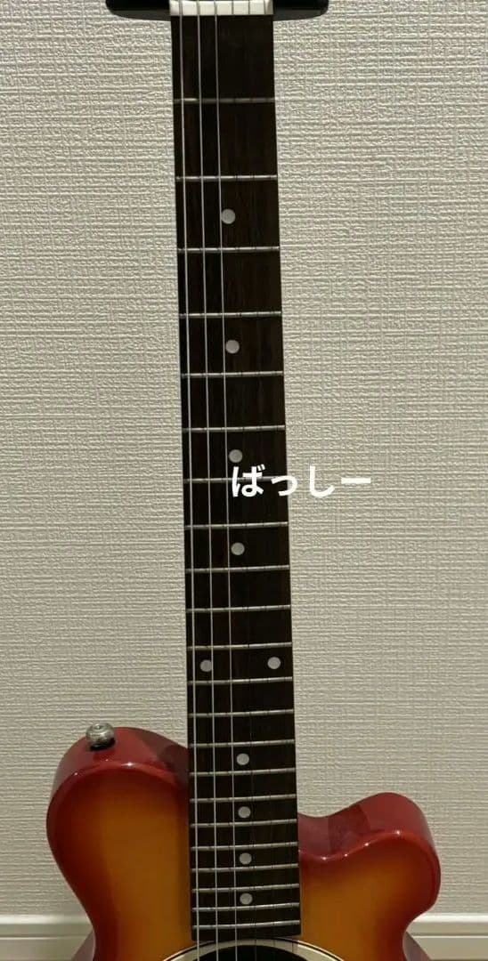 Pignose アンプ内臓型ギター