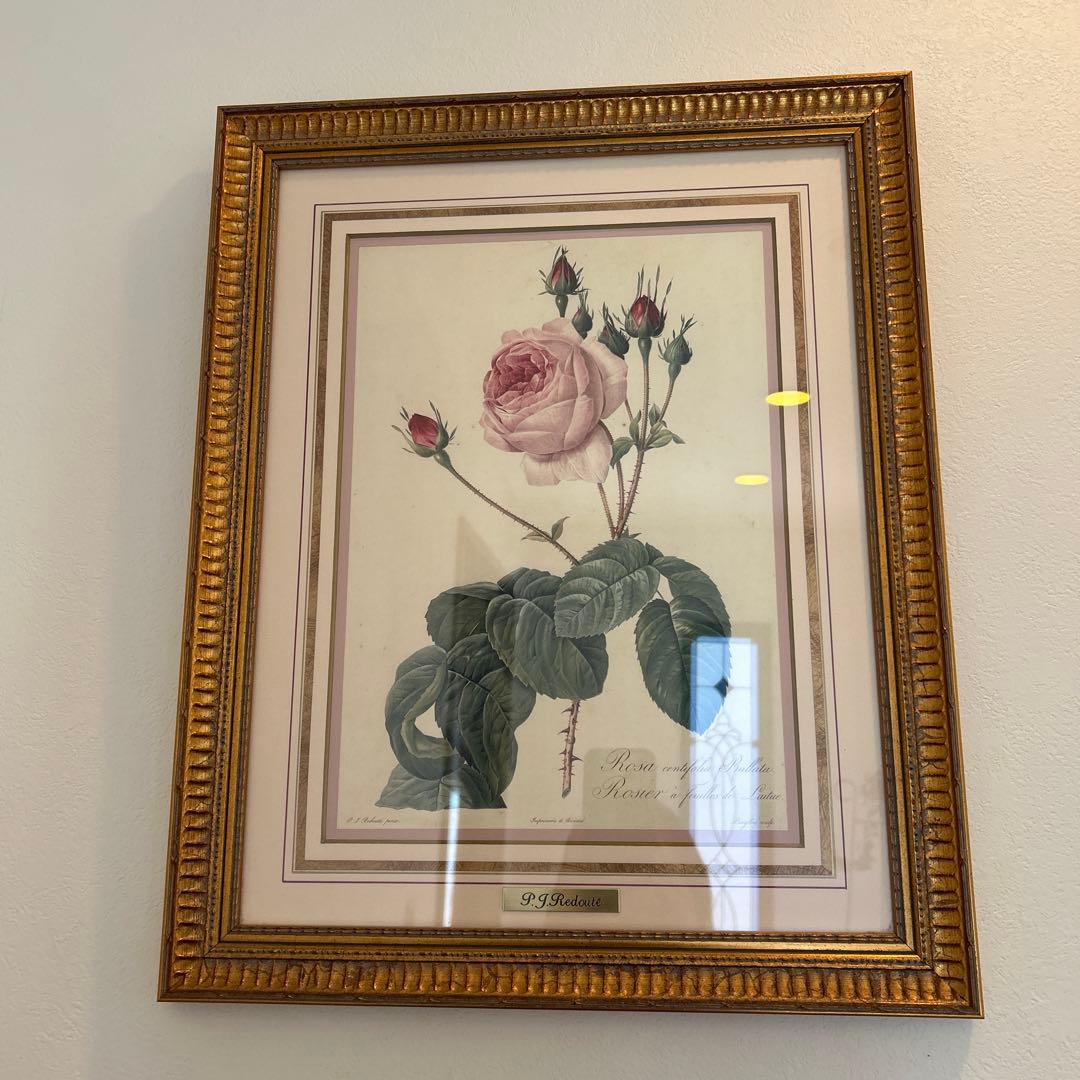ルドゥーテ ローズ 絵額 複製画 『バラ図譜 』 ゴールドフレーム2セット