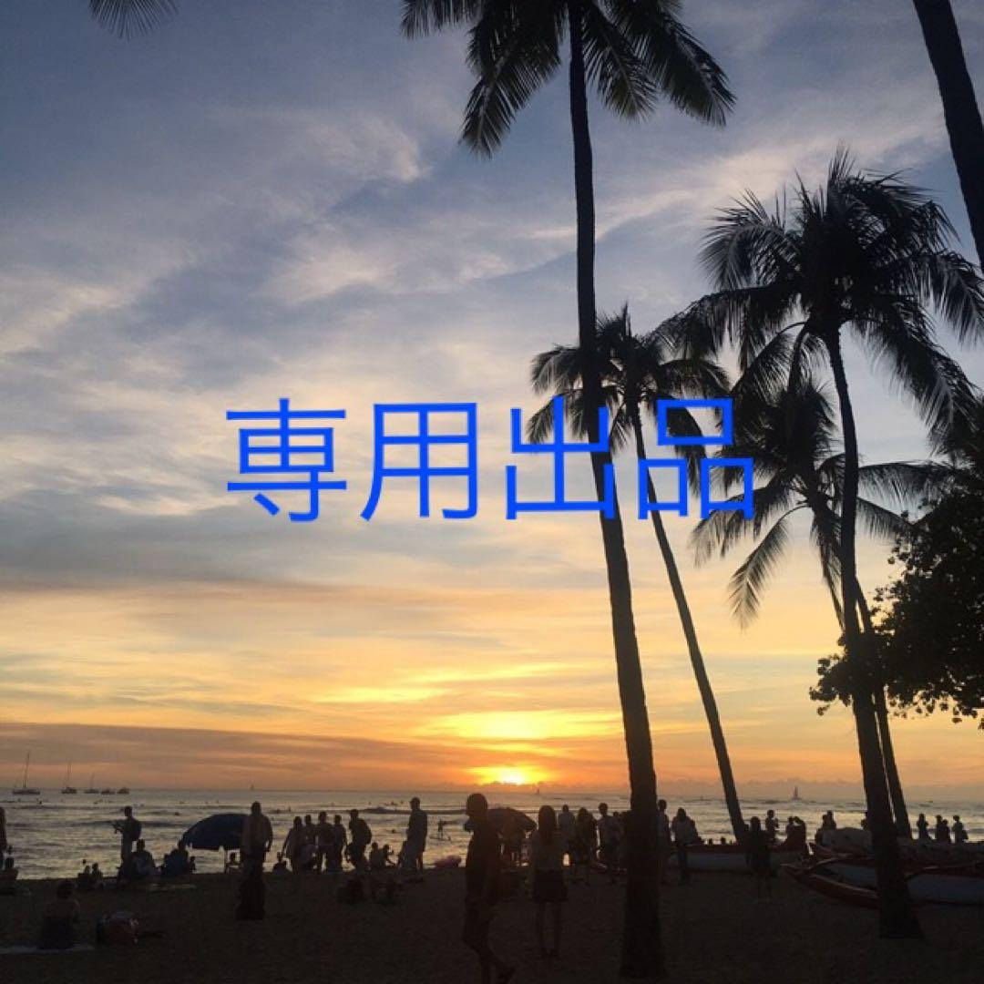 MARUZEN M870 ライブカート +α