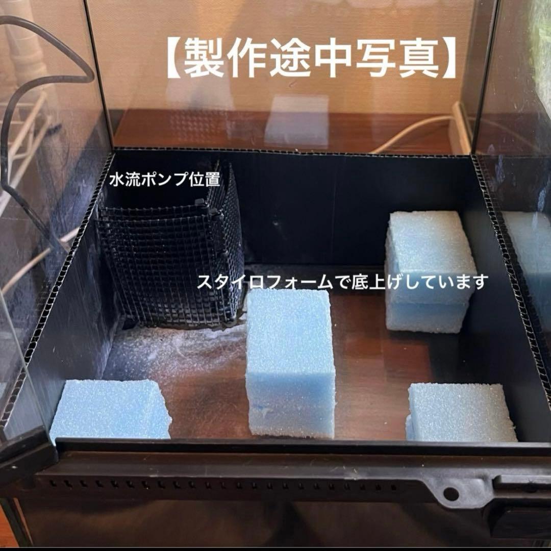 【値下げしました】レイアウト水槽 イモリウム カエルリウム