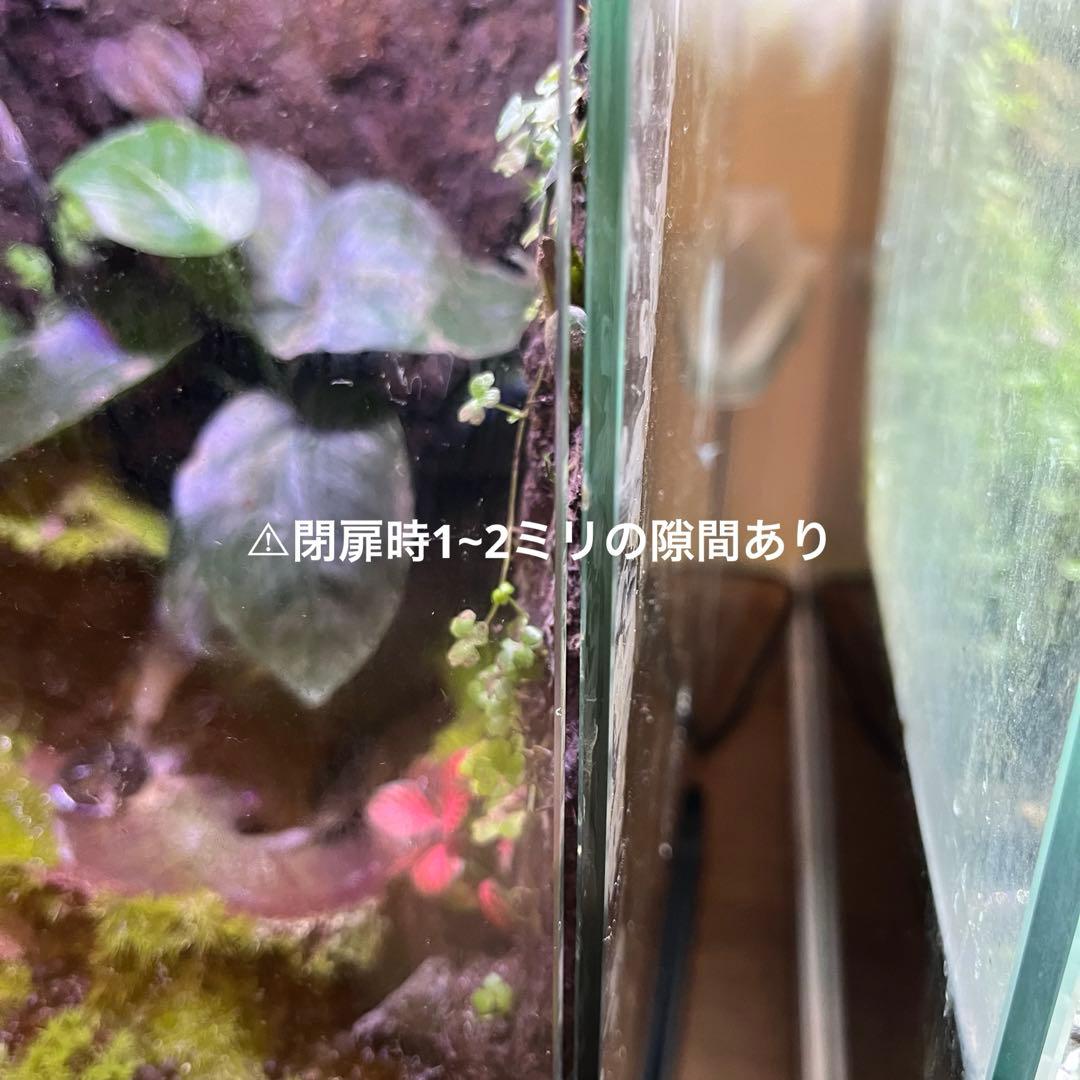 【値下げしました】レイアウト水槽 イモリウム カエルリウム