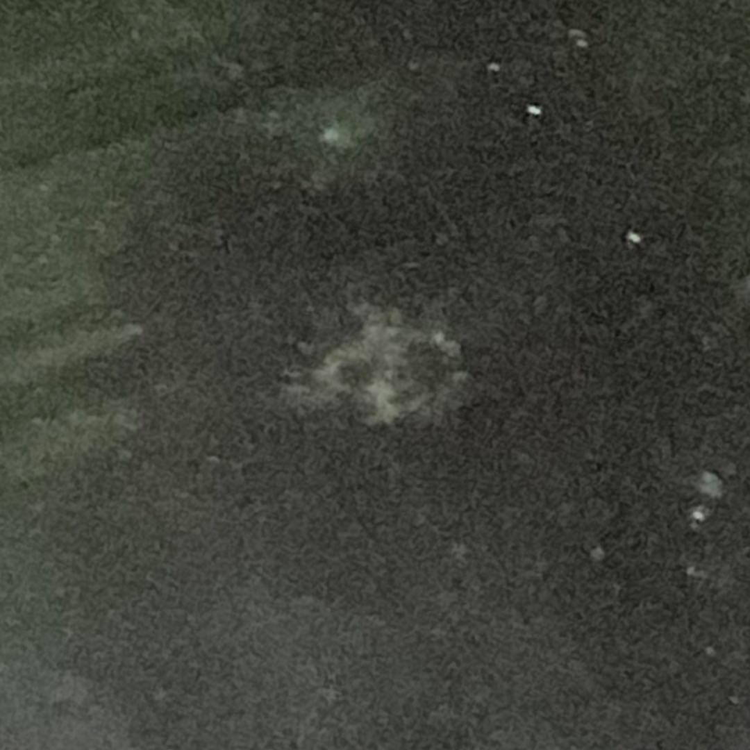 織部　羽子板型　大皿　陶器　美濃焼　亀甲文　正月