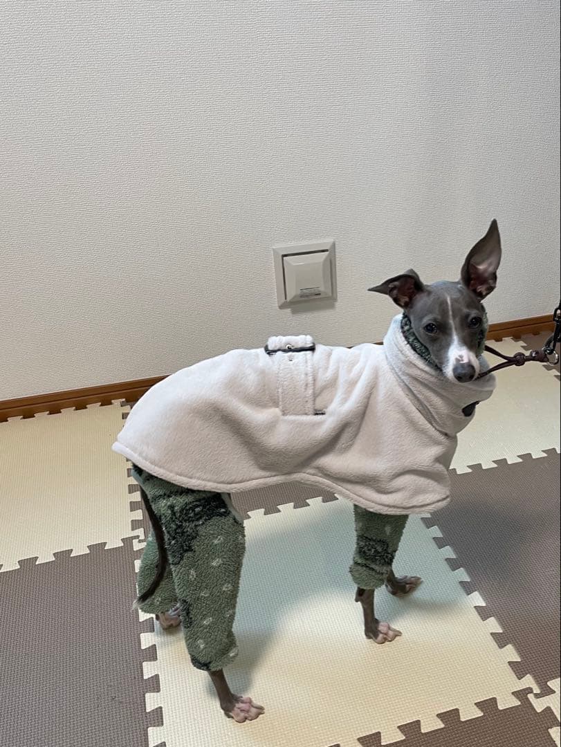 イタグレ服　Lunetta コート