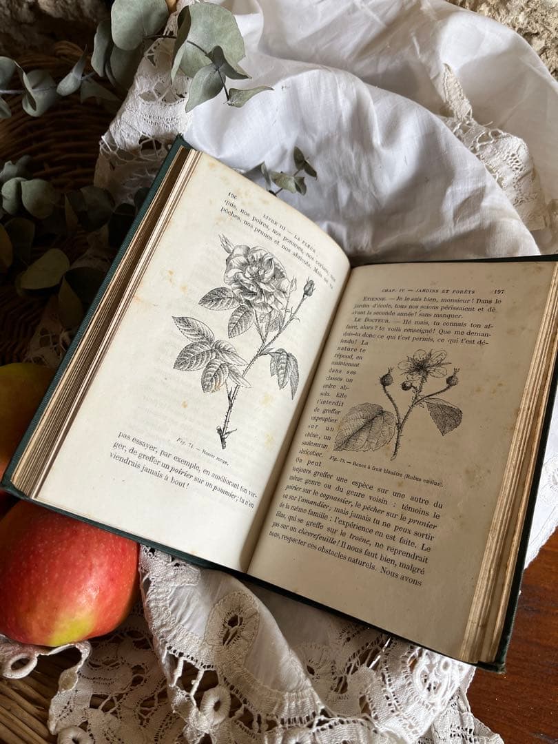 ◆フランスアンティーク｜激レア直筆サイン古書植物草花挿絵19s金彩エンボスハード