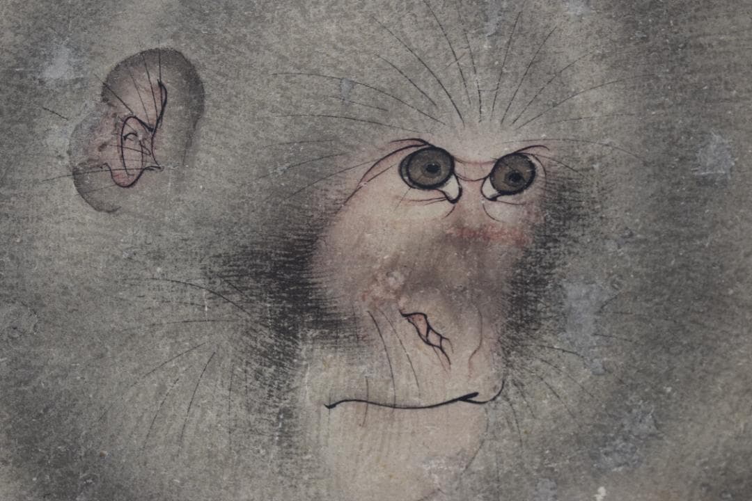 森祖仙/猿之図/岩上猿図/掛軸☆宝船☆Y-719　JM