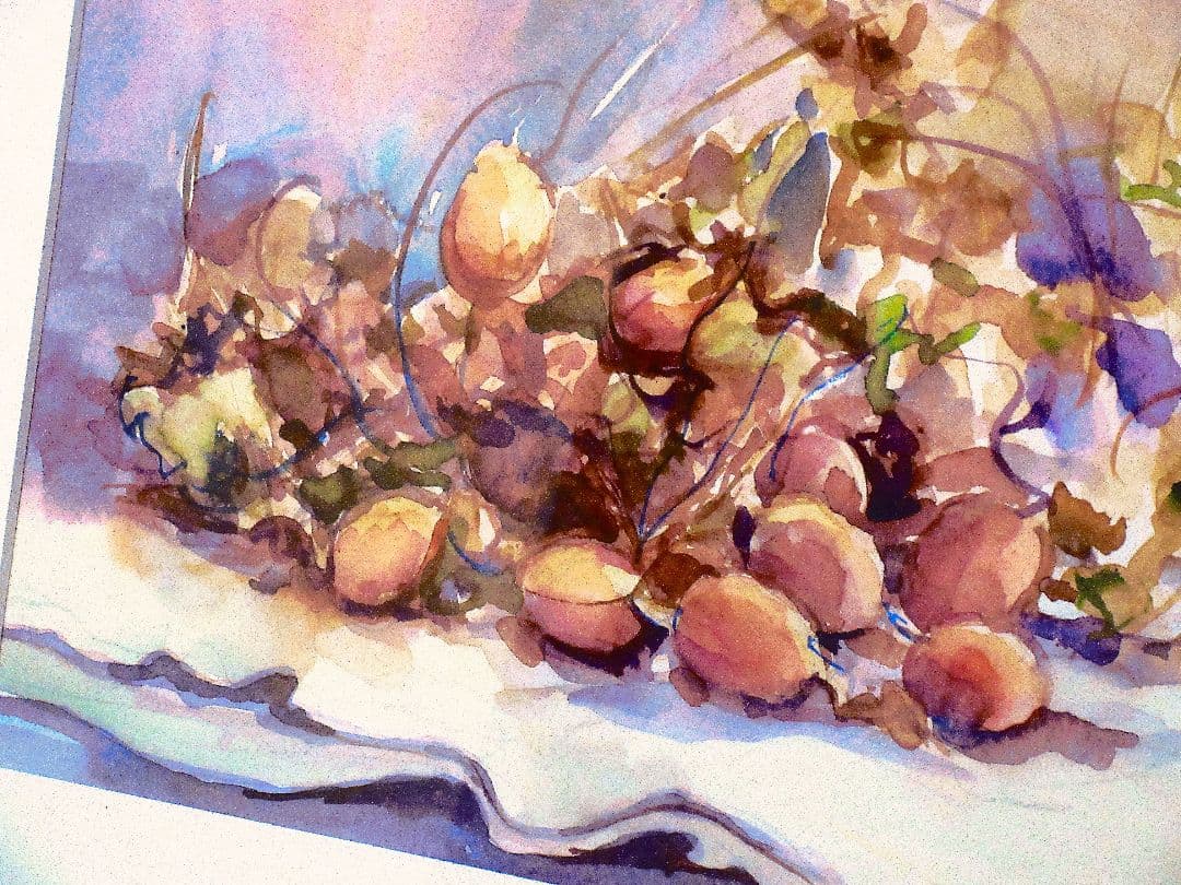 カラスウリ 水彩画 フレーム付き