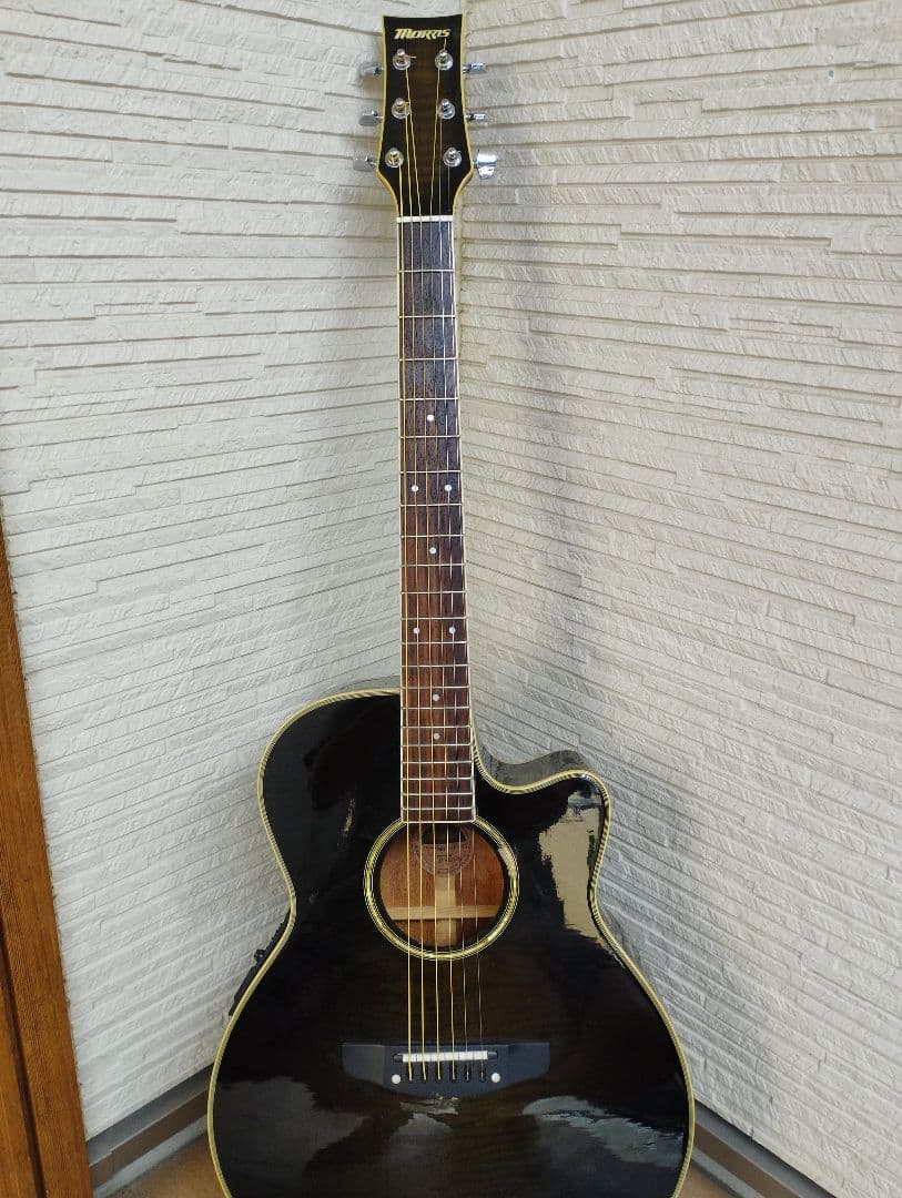 morris MR-451SBL モーリス エレアコ