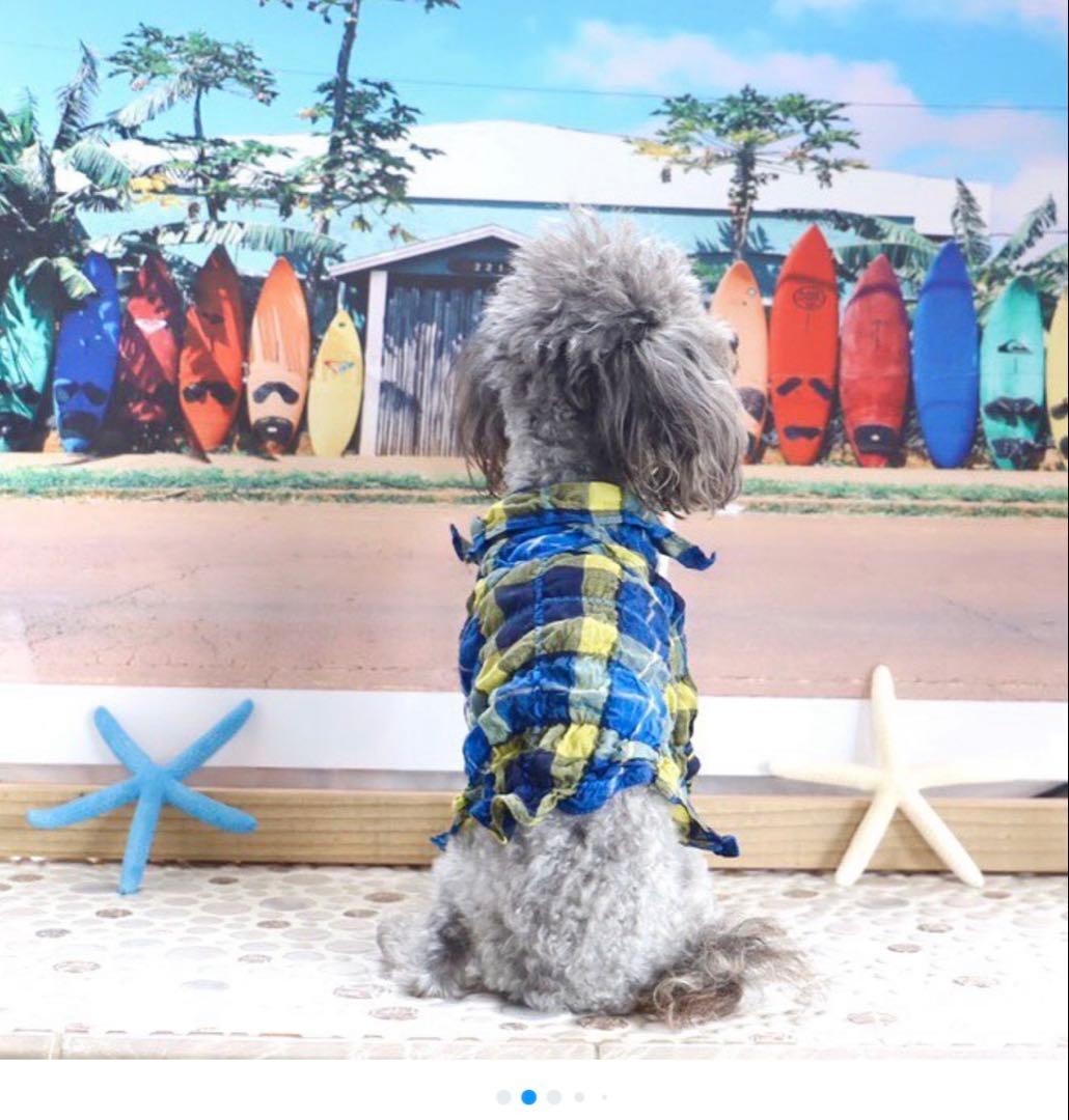 アトリエgg ブルーアイランド　シャツ　サイズ3ハーフ　AtelierGG