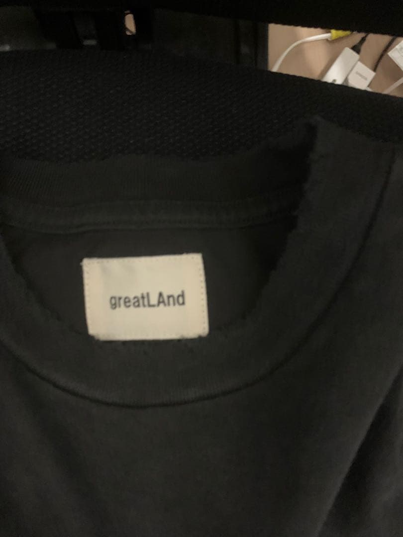 greatLAnd askyurself SADE tee サイズ L