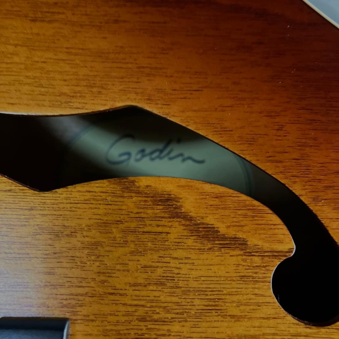 Godin 5th Avenue フルアコースティックギター