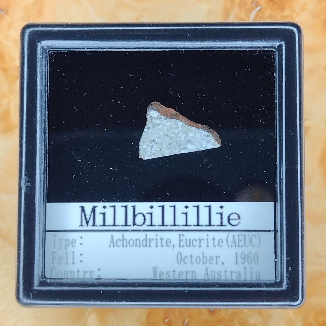 ⭐見る！?ミルビリリー隕石 標本