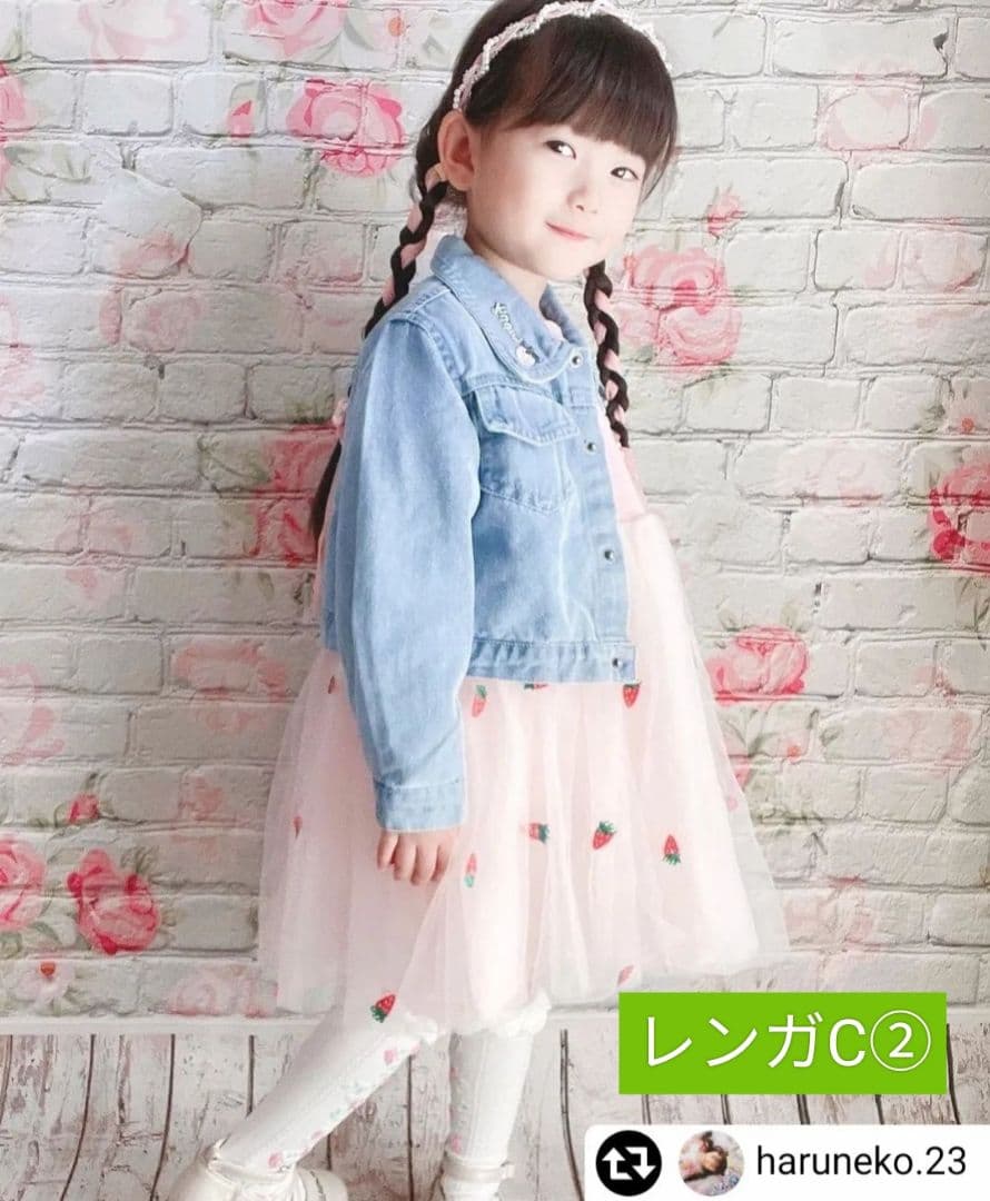 背景布【屋内V】ニューボーンフォト、ペット、ドール撮影用　空　薔薇　気球　雲　窓