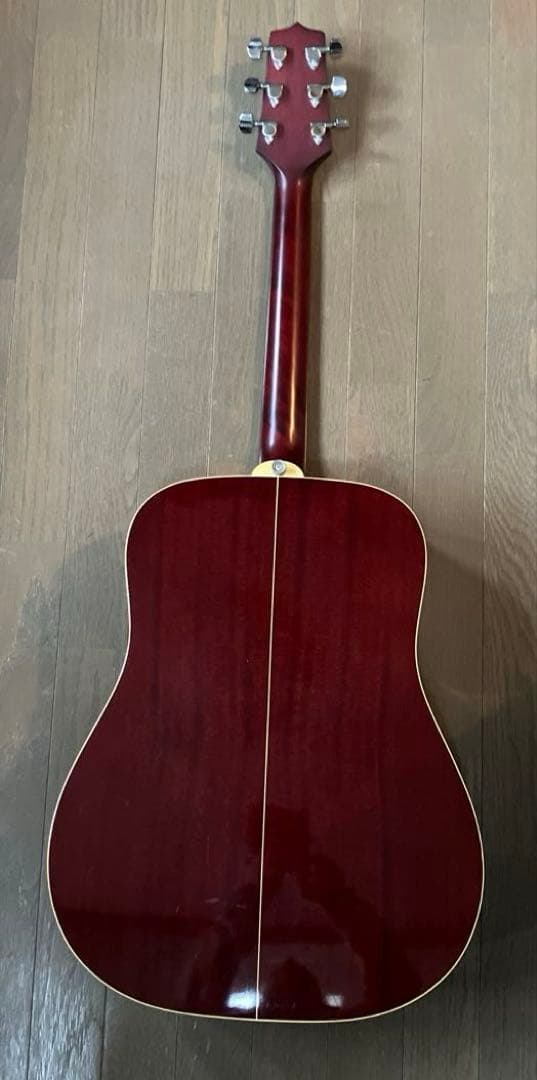 Takamine D21-WR DragonSeries アコースティックギター
