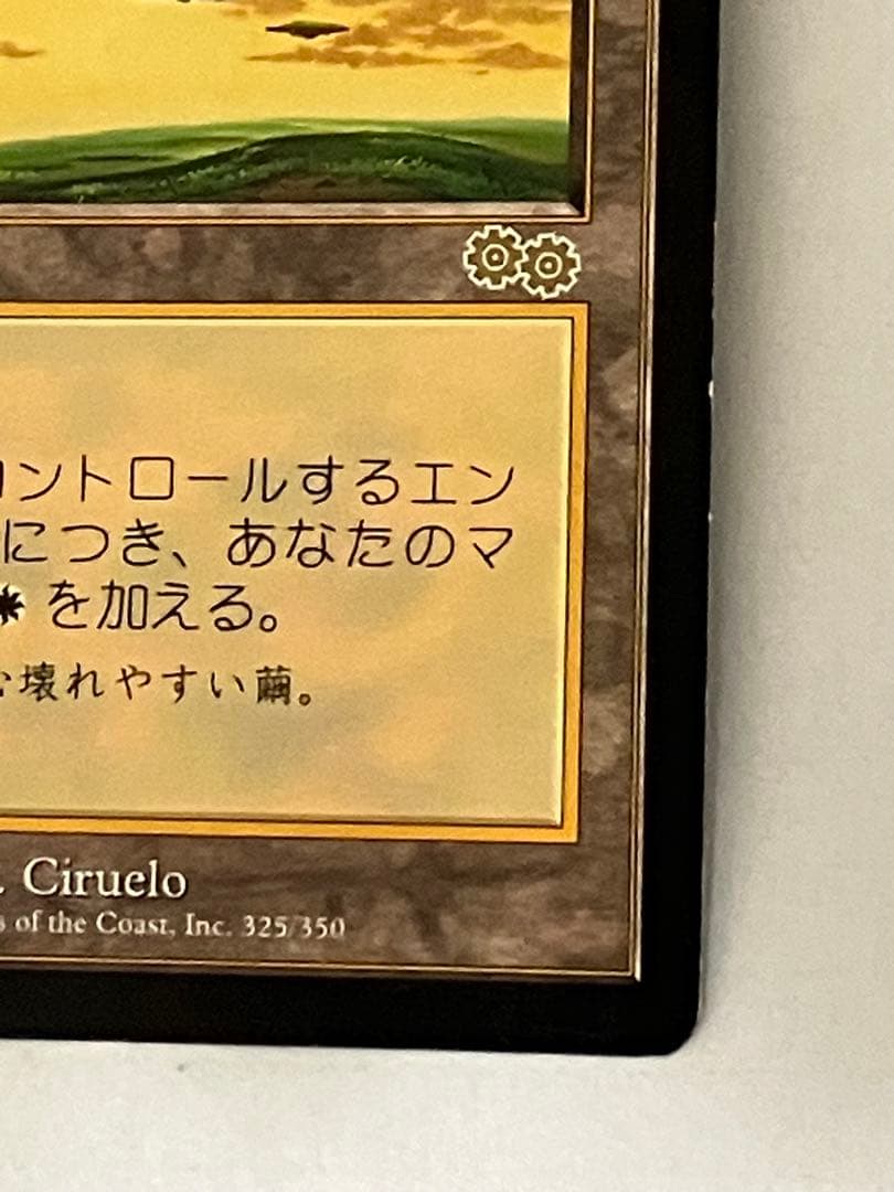 セラの聖域 伝説の土地カード