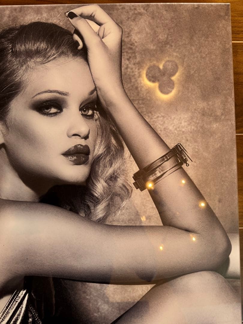 【美品】フォトグラフィアート、IV SKAYA ELENA、4/500