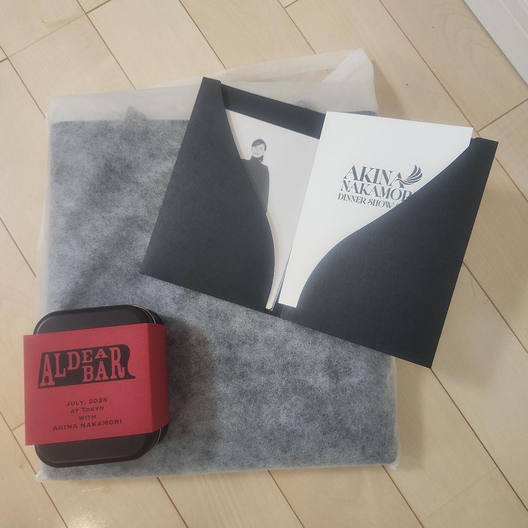 ミュージシャン AKINA NAKAMORI DINNER SHOW ALDEAR BAR