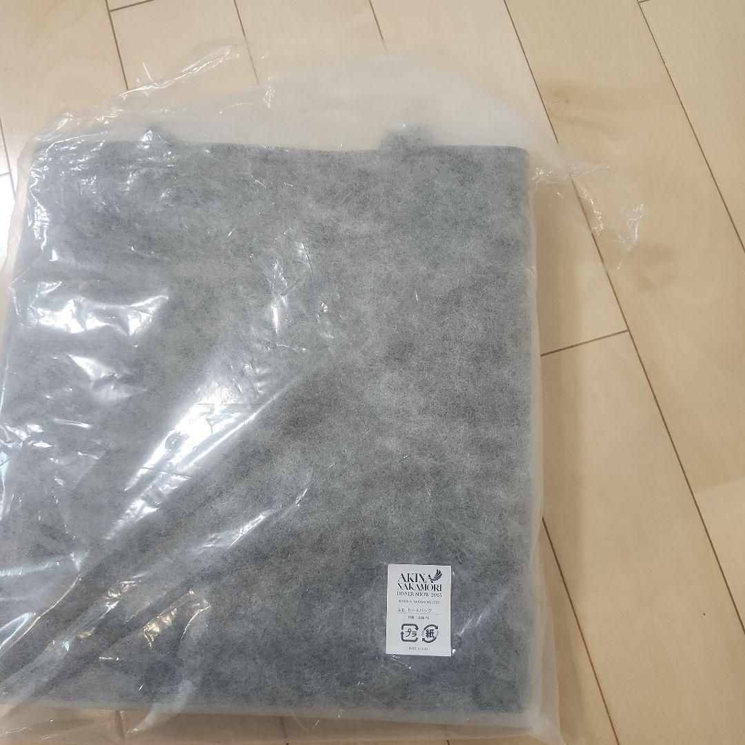 ミュージシャン AKINA NAKAMORI DINNER SHOW ALDEAR BAR