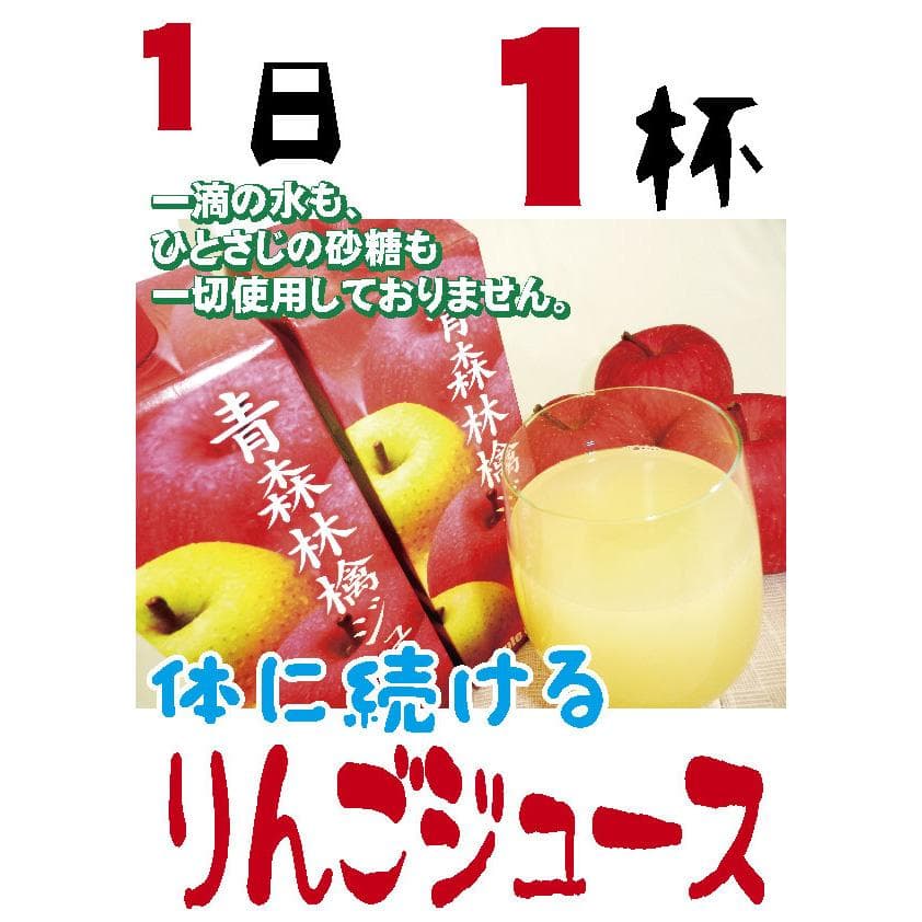果汁100%アップルメイトりんごジュース1000ml紙パック6本入2箱/計12本