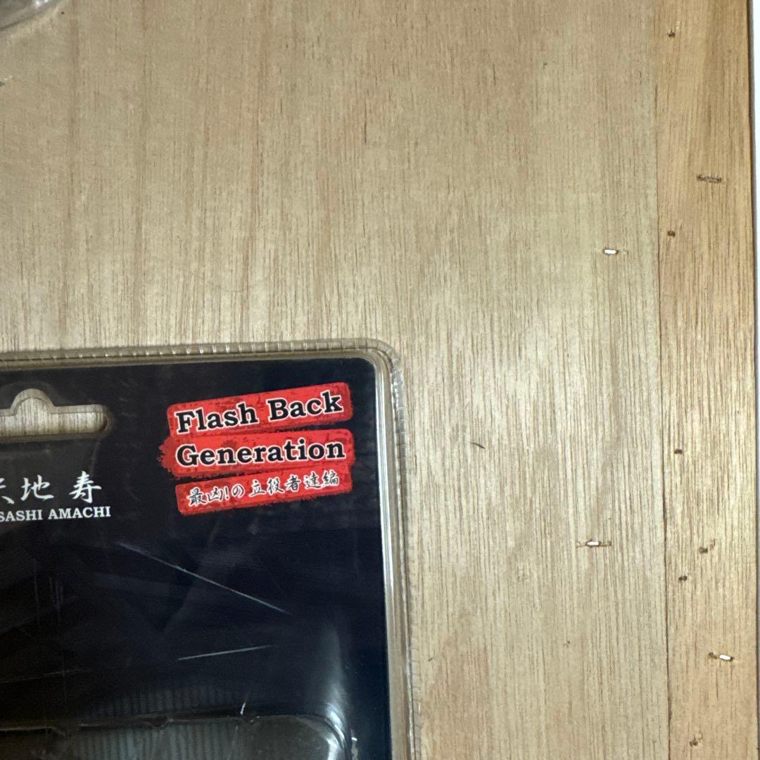 クローズ＆WORST天地寿スパイダーウェブ限定版