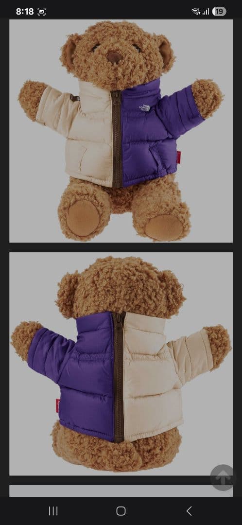 The North Face・Supreme ぬいぐるみ ダウンジャケット