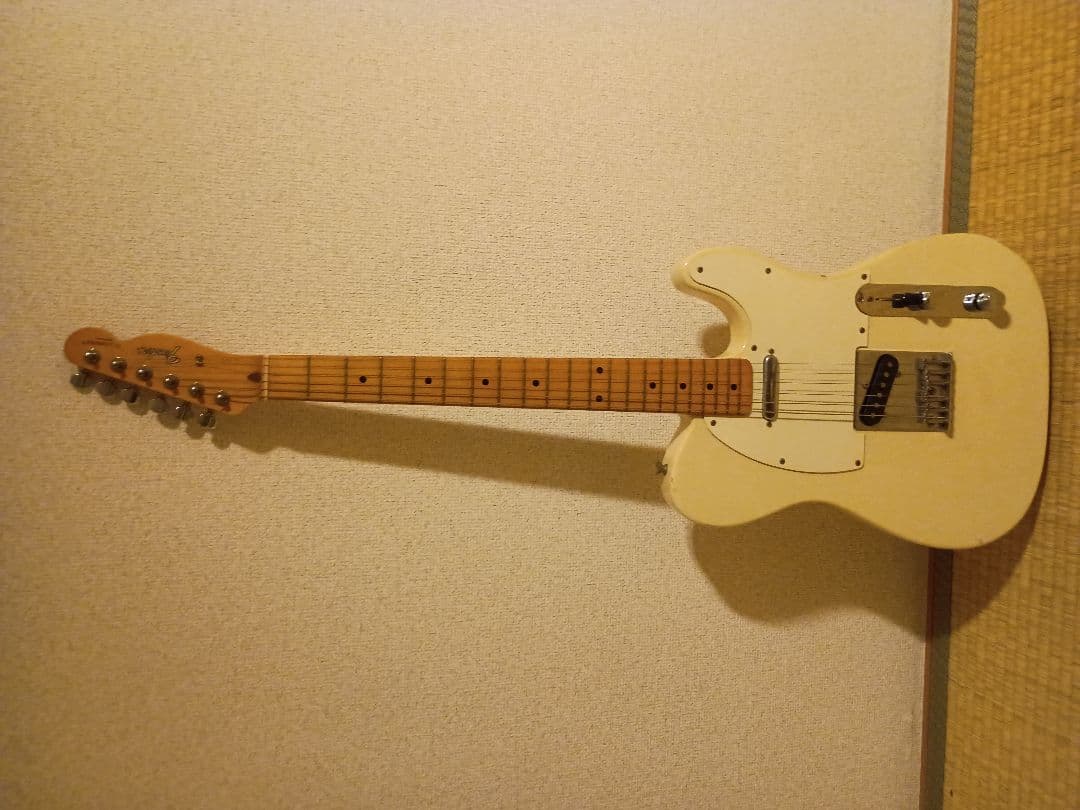 [Igor Giera]Fender Telecaster ホワイト