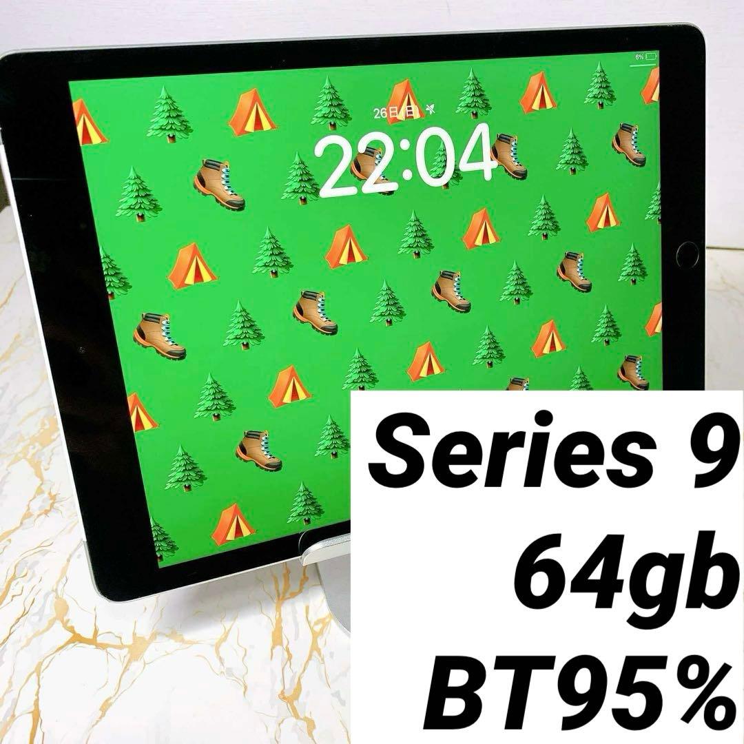 iPad 第9世代セルラー BT95%
