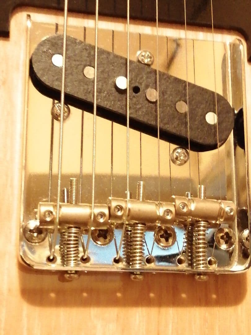 ギター Laid Back TL500