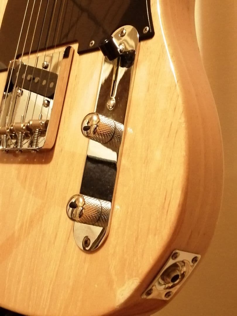 ギター Laid Back TL500