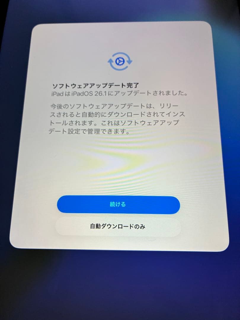 iPad Pro11インチ 第2世代 256GB Wi-Fi 美品 最新OS