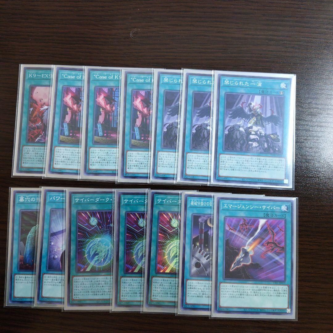 遊戯王【Ｋ９サイバー・ドラゴン】デッキ スリーブ付 ヘルカイザー亮　ｂ