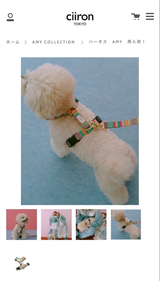 犬用ハーネス リードciiron TOKYO AMY