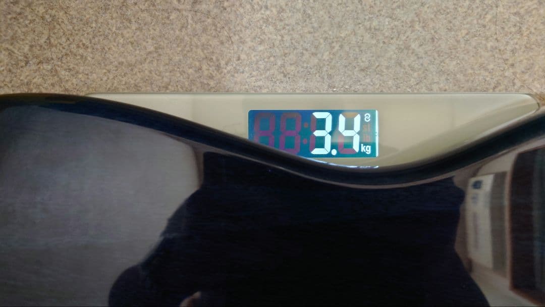 スクワイヤ　ストラトソニック　P-90　ダンカン　オマケ付き【ジャンク】