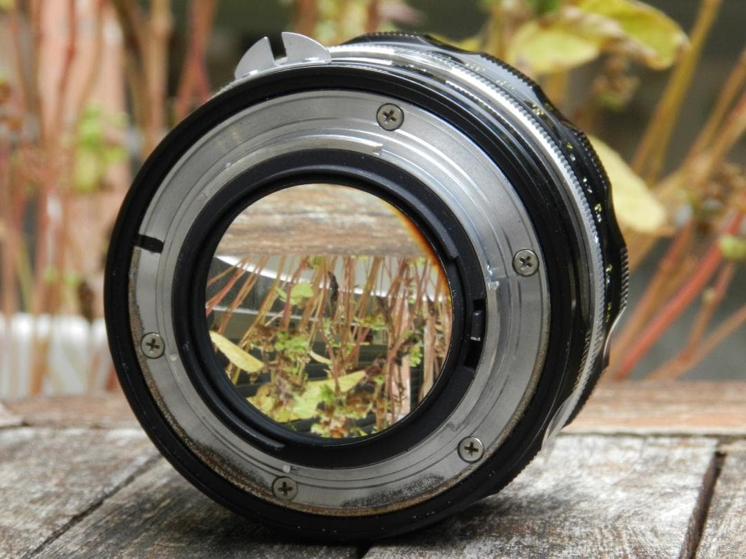 美品　Nikon F Nikkor-S.C 50 1.4 カメラ　即撮影可