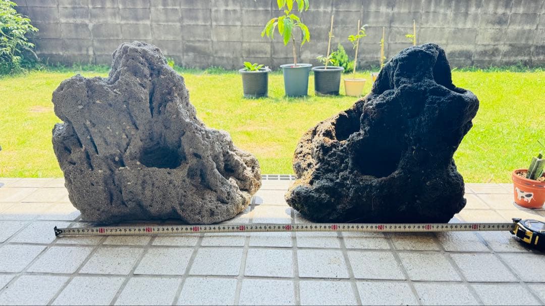 ADA 雲山石 特寸サイズ 2個セット