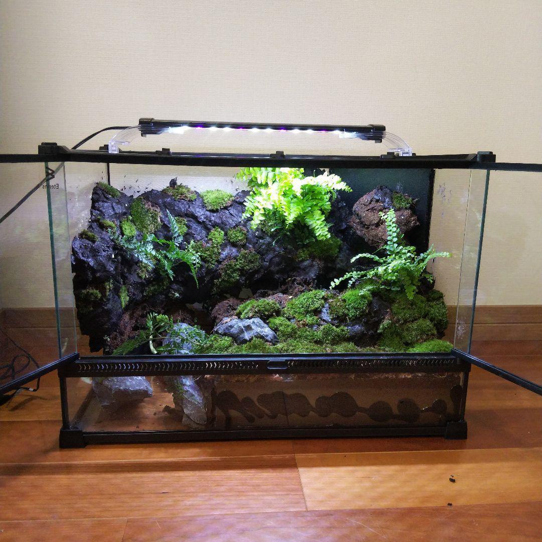 阿部麗華ページ