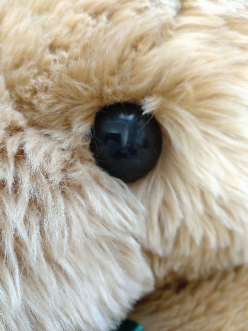 【巨大熊】レトロ パート2