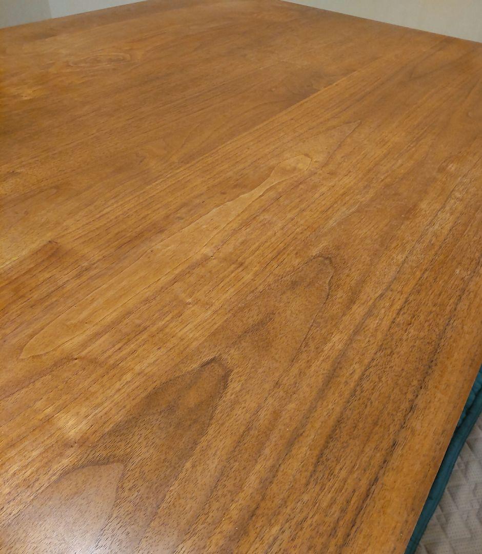 ゆきちゃんです ACTUS REN ダイニングテーブル 天板のみ