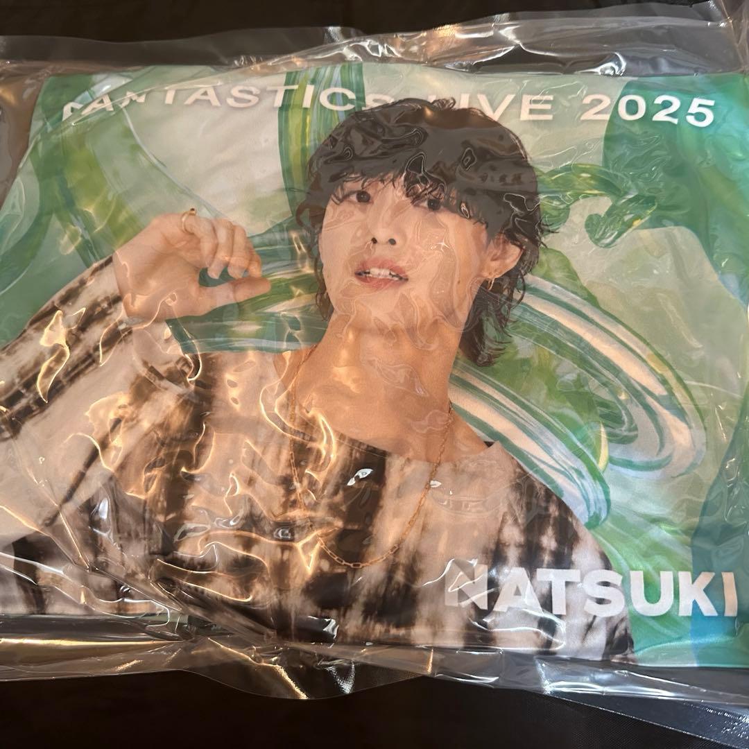 堀夏喜　クッション　レア　BUTTERFLY　会場限定　実写　ファンタ　緑