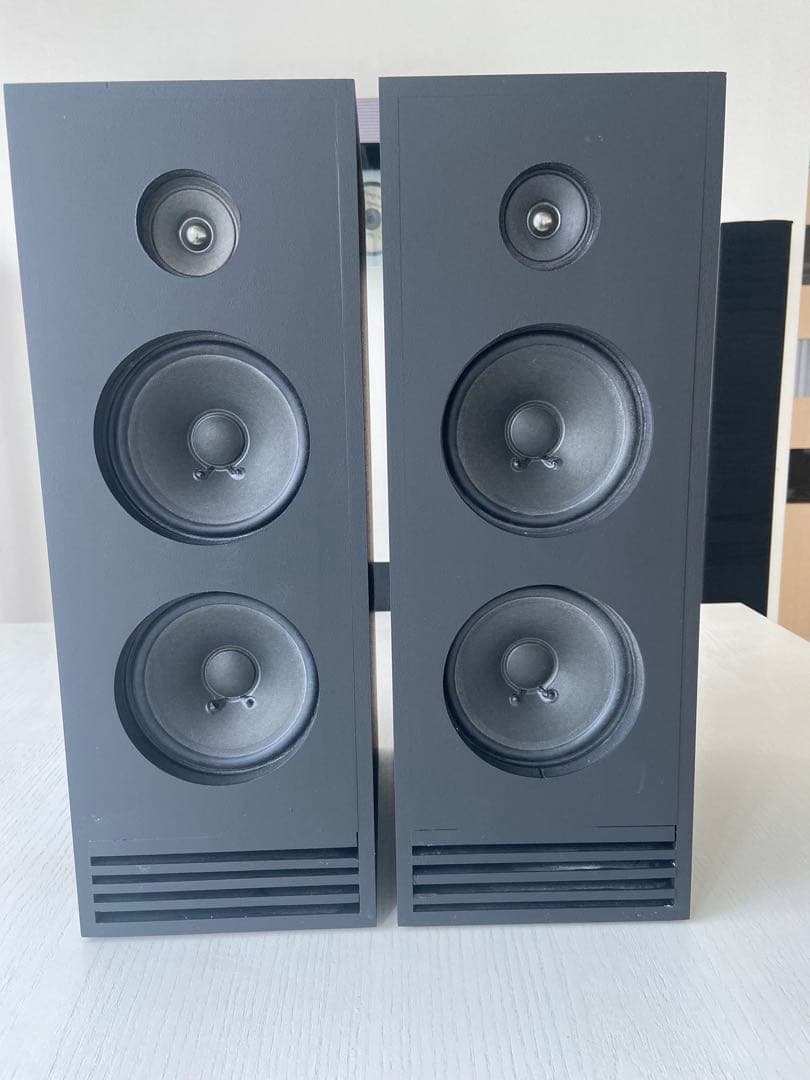 自作フルレンジ2発バックロードホーンスピーカー