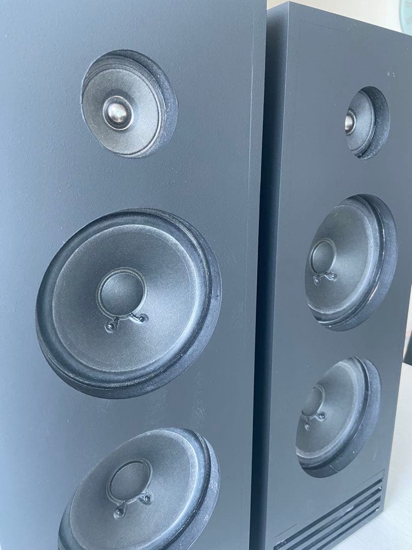 自作フルレンジ2発バックロードホーンスピーカー