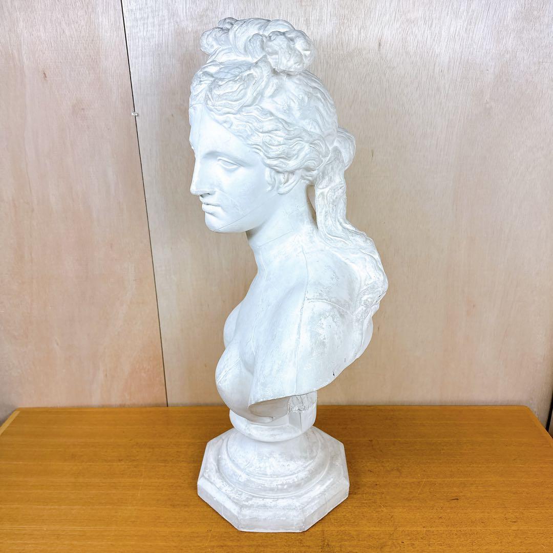 石膏像 カピトリーノ ヴィーナス 胸像 デッサン 美術 恥じらいのヴィーナス