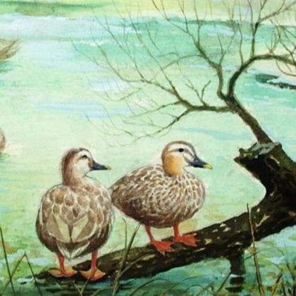 絵画「鴨の池の午後」　水彩画