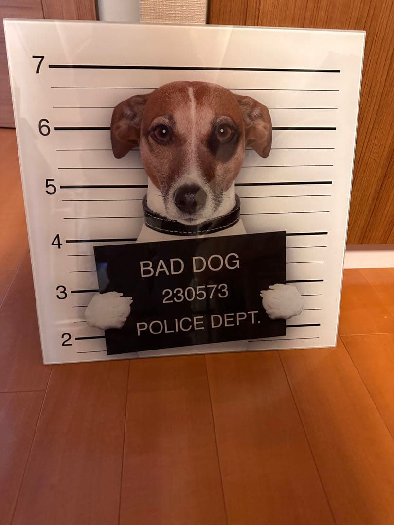 絵画　ガラス製　犬　指名手配　ビーグル　バットドック　baddog