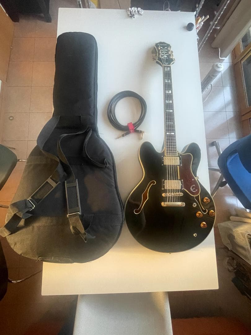 シゲ　Epiphone Sheraton II EB ソフトケース付属