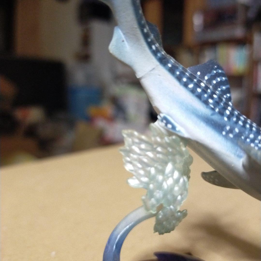 貴重レア　ジンベイザメ「海遊館ミュージアム ネイチャーテクニカラー」 海遊館限定