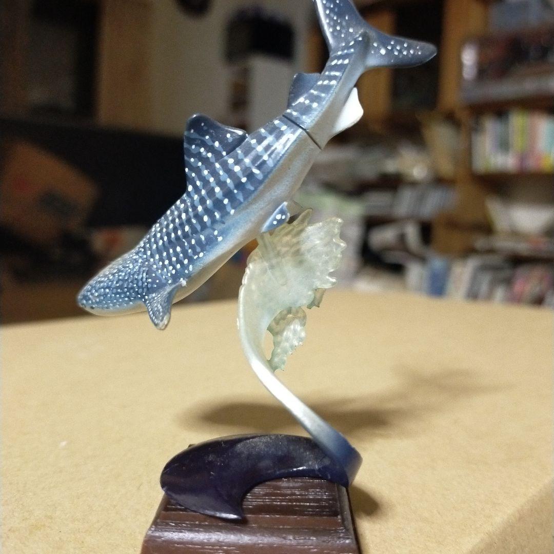 貴重レア　ジンベイザメ「海遊館ミュージアム ネイチャーテクニカラー」 海遊館限定