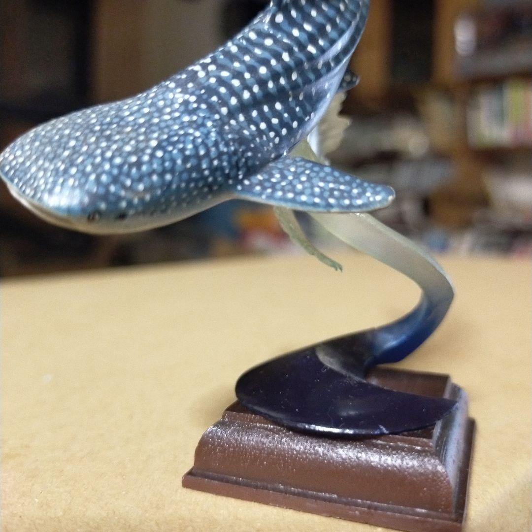 貴重レア　ジンベイザメ「海遊館ミュージアム ネイチャーテクニカラー」 海遊館限定