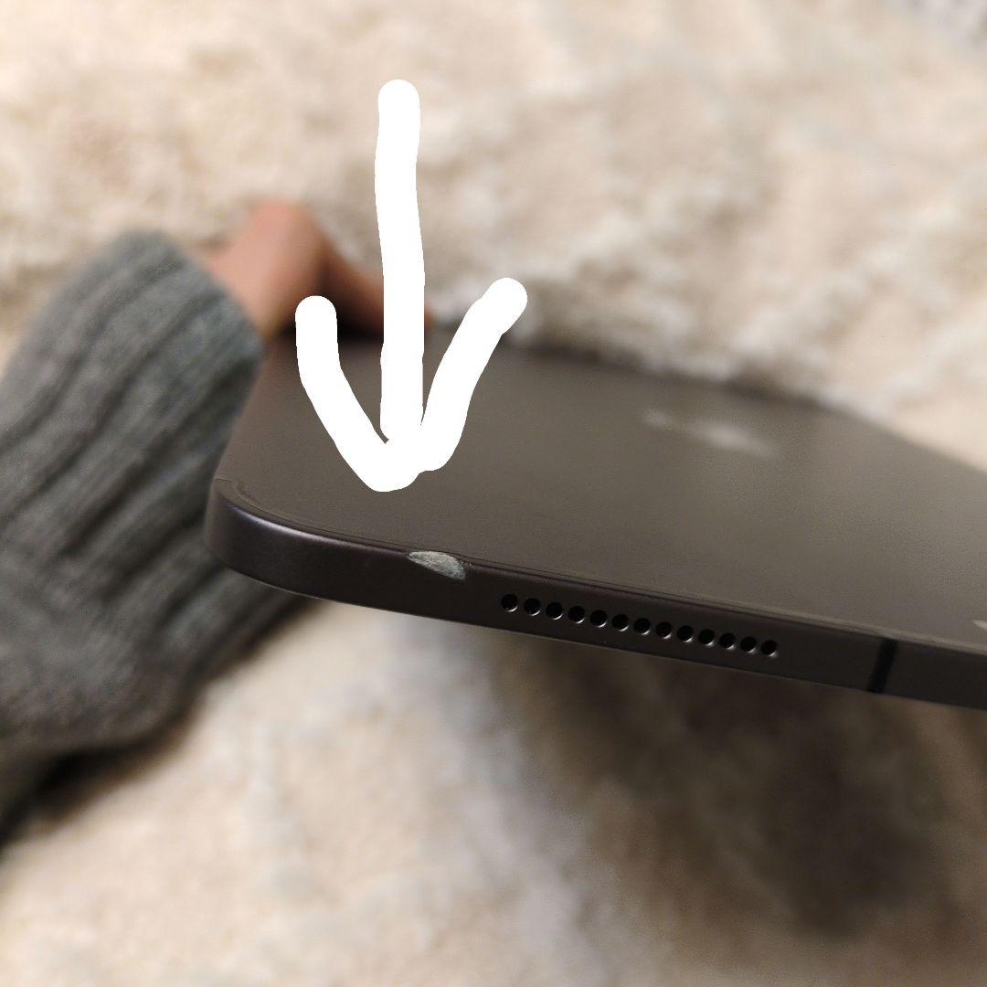 【公式診断89%】iPad Pro 11 第2世代 256GB セルラー +ペン