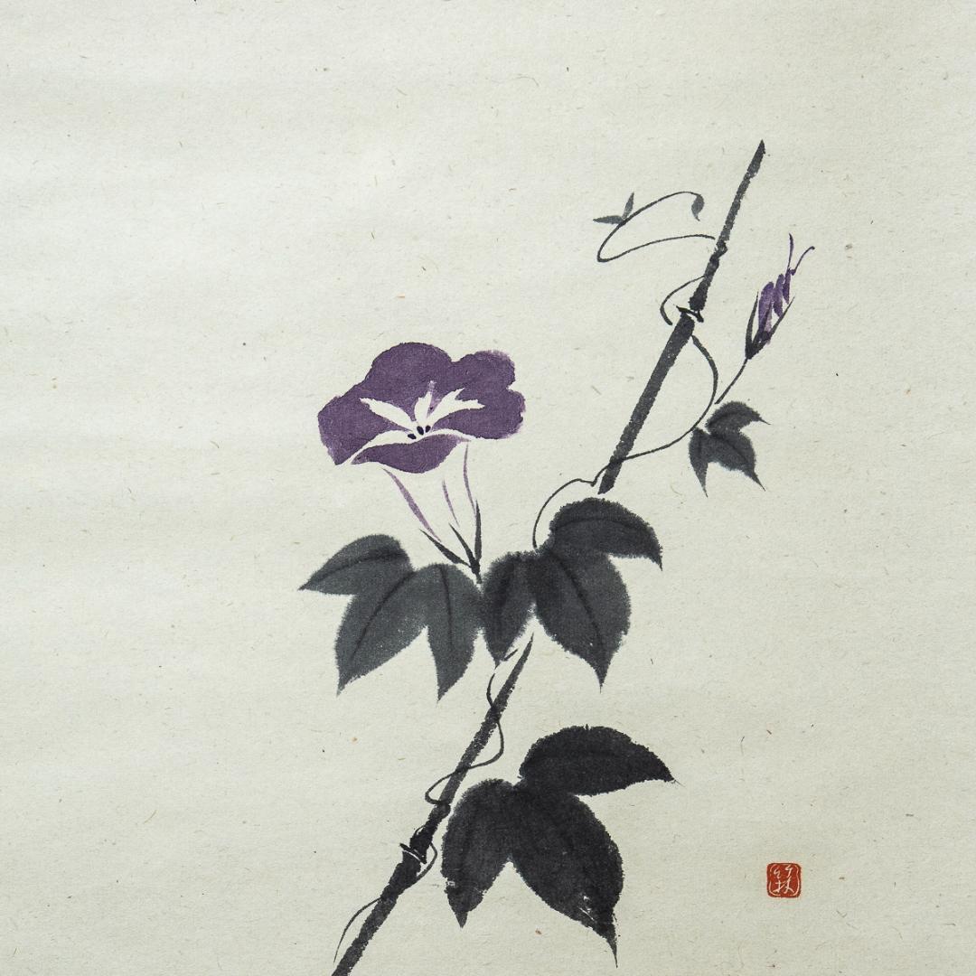 掛軸-1224　大徳寺　佐藤朴堂　賛　竹林　画　「露堂々」朝顔画賛　共箱